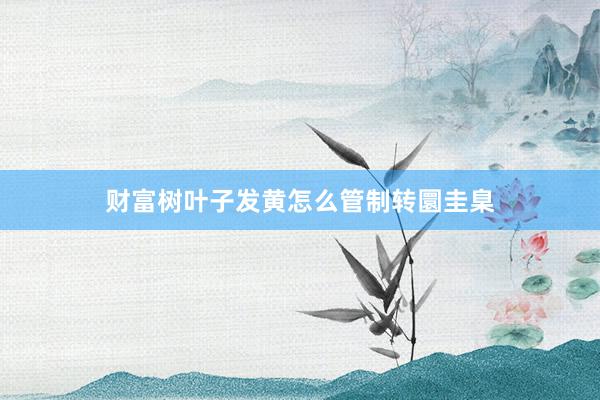 财富树叶子发黄怎么管制转圜圭臬