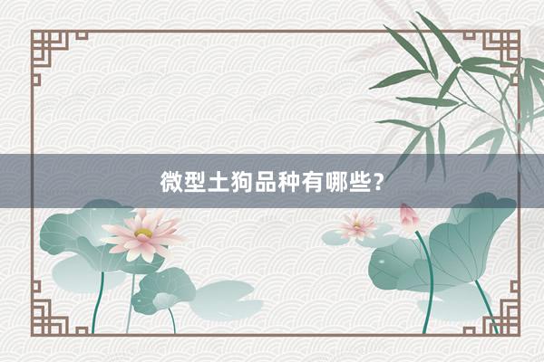 微型土狗品种有哪些?