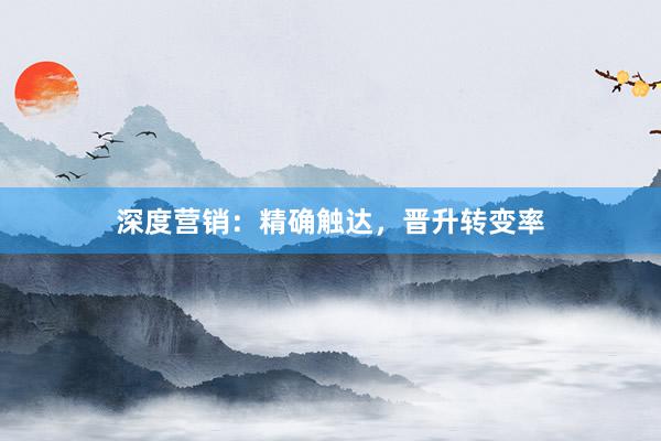 深度营销：精确触达，晋升转变率
