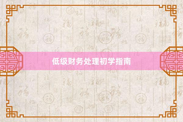低级财务处理初学指南